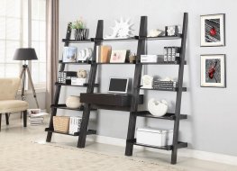 Transitional Capp. Wall-Leaning Ladder Desk