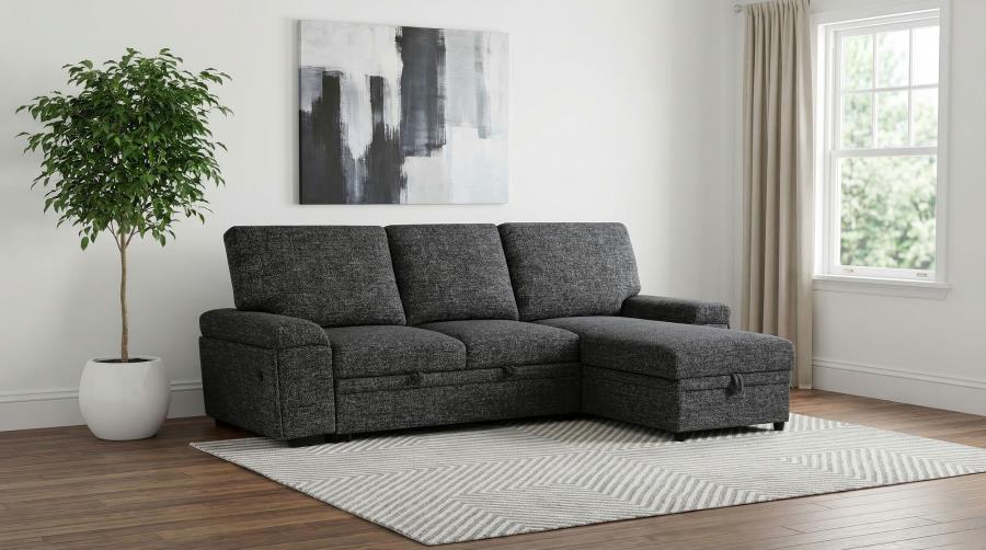 (image for) Demko Sleeper Sectional Sofa with Speaker and Storage Chaise Granite