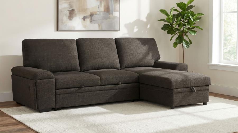 (image for) Demko Sleeper Sectional Sofa with Speaker and Storage Chaise Brown
